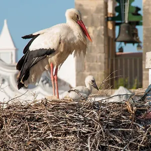 Stork Hostel Olhão